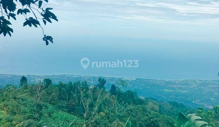 Super Ocean View! 2,5 Ha Dingin Jl Pribadi Sukasada Buleleng Bali 2