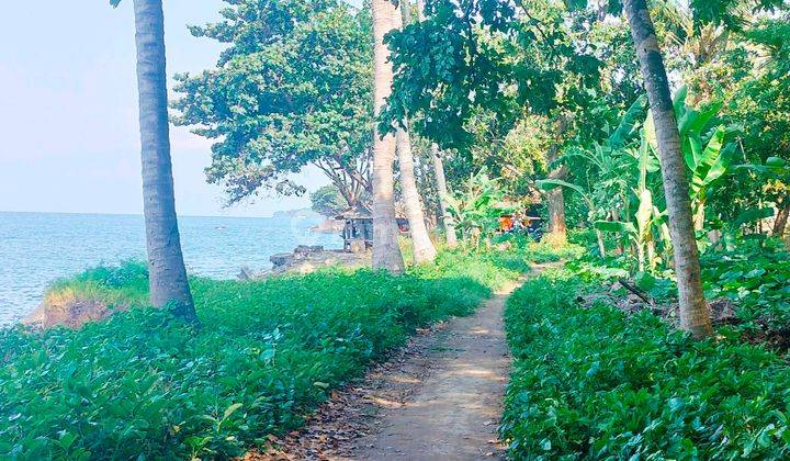 20 Are Beachfront Pinggir Jalan Propinsi Singaraja Kubutambahan  2