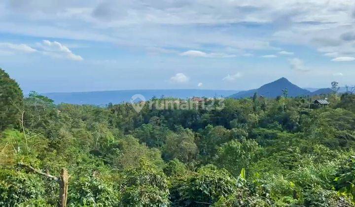 Pink Zone 1,7 Ha Main Road Wanagiri View Ocean & Lake Buleleng Bali 1