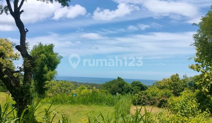 2500M2 Super View Flat Siap Bangun Kawasan Villa Lovina Buleleng Bali