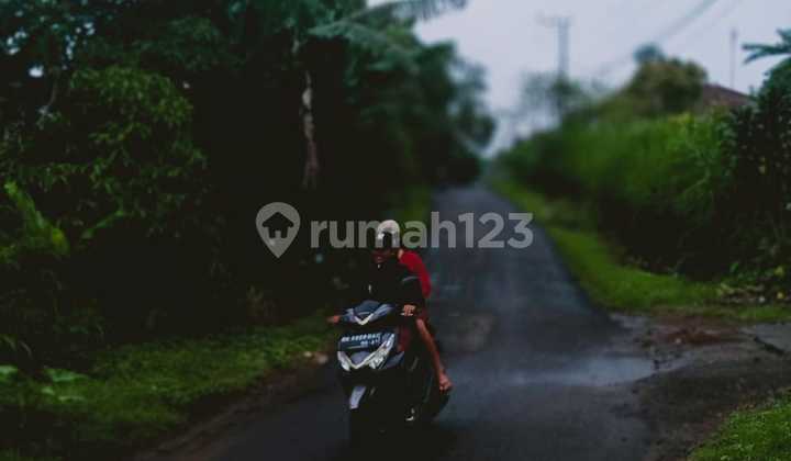 8.22 Are Pinggir Jalan View Laut Gobleg Sukasada Buleleng Bali