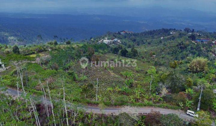 1 Hectare Sea Hills Lakes View Pinggir Jalan Munduk Buleleng Bali 2