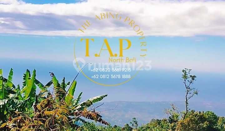 240m² Roadside Asphalt Super Ocean View Gobleg Buleleng Bali