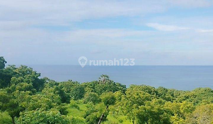 80 Are Ocean View Super! Murah Akses Mobil Kubutambahan Bali  1