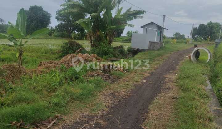 Cheap! 67 Are Beachfront Near the Future New Airport Kubutambahan Buleleng Bali