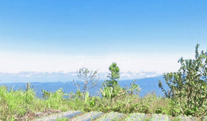 1,5 Hektar Aspek Perumahan Double View Langka Munduk Buleleng  2