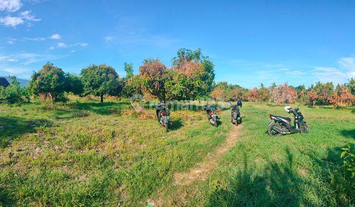 Siap Bangun Aspek Perumahan 1,23 Ha Pinggir Aspal Buleleng Bali  1