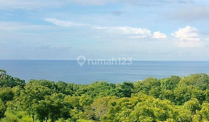 80 Are Ocean View Super! Murah Akses Mobil Kubutambahan Bali  2