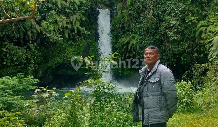 Waterfalls Tanah 98 Are Contains Roadside Waterfalls Along Asphalt Lemukih Buleleng Bali
