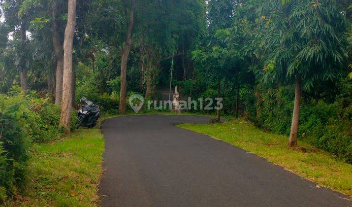 650 M² Pinggir Jalan Aspal Kayuputih Kawasan Villa Lovina Bali 1