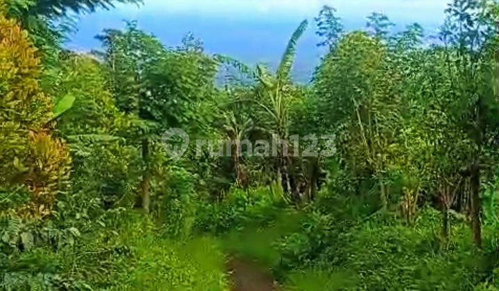 45 Are View Laut Dekat Tower Turyapada Gitgit Buleleng Bali Murah!