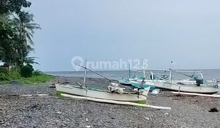 21.5 Are Pinggir Pantai Tejakula Pantai Lebar Sertifikat Baru Pink Zone