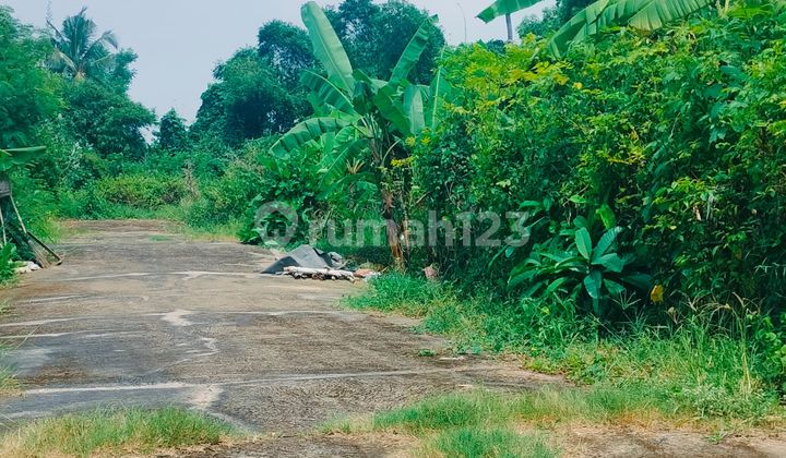 Tanah Kapling 2.15 Are Siap Bangun Sangket Sukasada Buleleng Bali
