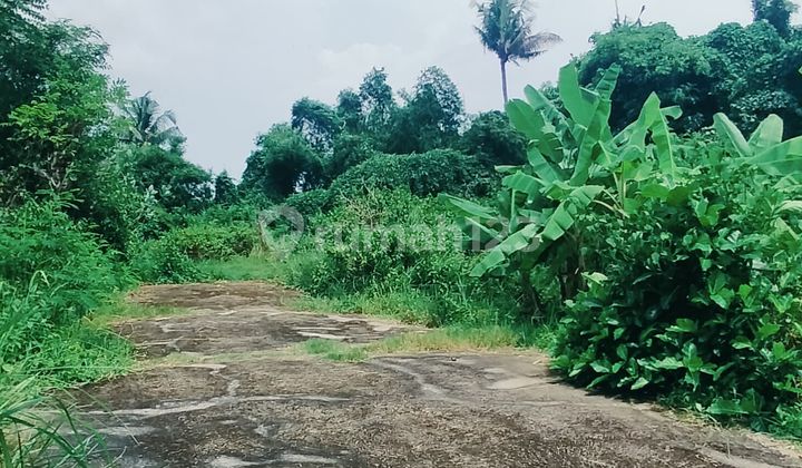 Tanah Kapling 2.15 Are Siap Bangun Sangket Sukasada Buleleng Bali