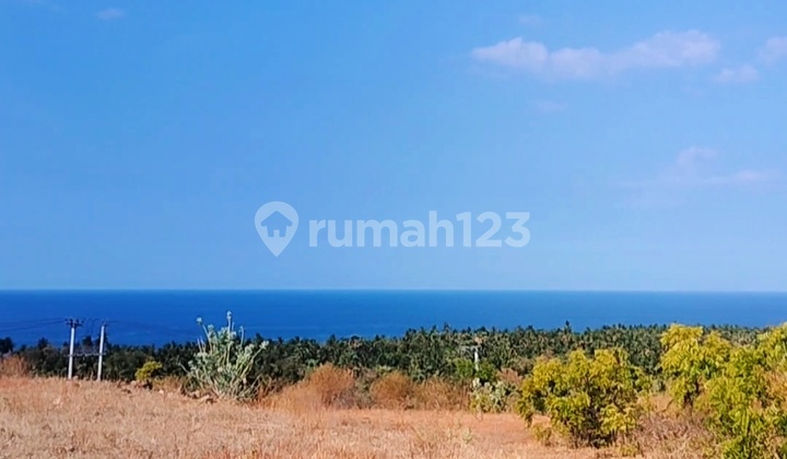 1 Hektar Stunning Ocean View Hak Milik Di Kubutambahan Buleleng Bali 1 Hektar Stunning Ocean View Hak Milik Di Kubutambahan Buleleng Bali