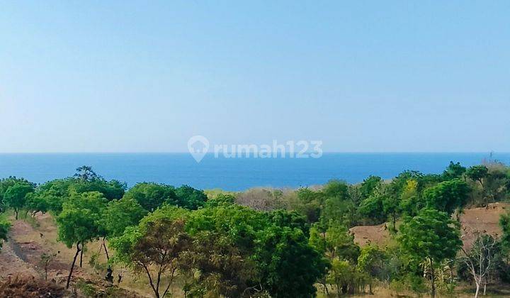 2980m² Super Ocean View Flat Land Kubutambahan Buleleng Bali 2