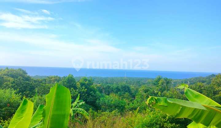 30 Are Ocean View Roadside Land, Kubutambahan, Buleleng, Bali 30 Are Ocean View Roadside Land, Kubutambahan, Buleleng, Bali