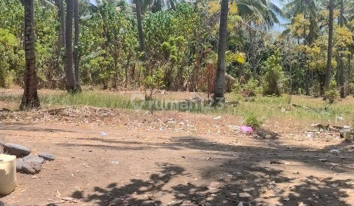 Beachfront Land 1.59 Ha on the Main Road of Singaraja Tejakula 2