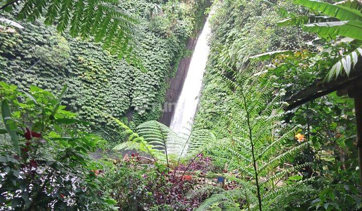 Land With Waterfalls View 1,06 Hectares Great Invest Buleleng  2