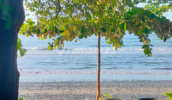 1600² S H M Pinggir Pantai Pinggir Jalan Propinsi Buleleng Bali 1600² S H M Pinggir Pantai Pinggir Jalan Propinsi Buleleng Bali