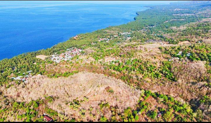 13 Hektar Super Ocean View Akses Mobil Tejakula Buleleng Bali  2