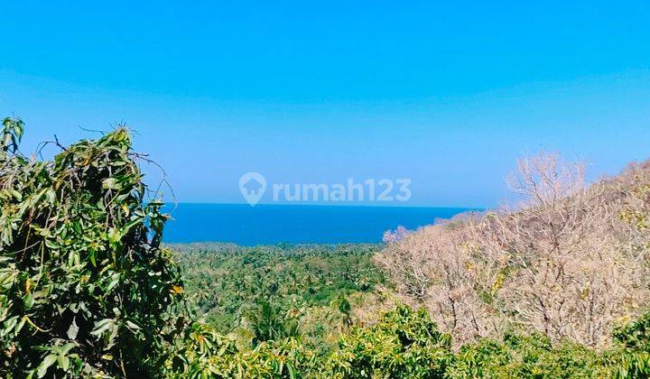 Ocean View Terasering Datar Pinggir Jalan Tejakula Buleleng  1