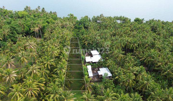 Sisa 5 Kapling Tanah Dekat Pantai Di Kubutambahan Buleleng Bali 1