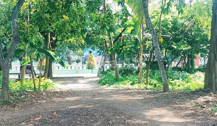 Beachfront 3000m² Pinggir Jalan Aspal Los Pantai Kubutambahan Bali