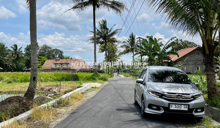 Rice Field View House in Pakem, Large Yard North of UII, JL Kaliurang 2