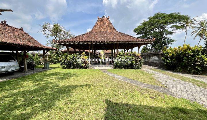 Rumah Joglo Limasan Dengan Kolam Renang di Wedomartani Jl Tajem 2