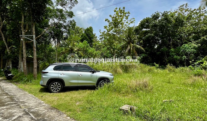 Tanah Dekat Jiwa Jawi Bangunjiwo Harga Dibawah 1 Juta per Meter Tanah Dekat Jiwa Jawi Bangunjiwo Harga Dibawah 1 Juta per Meter