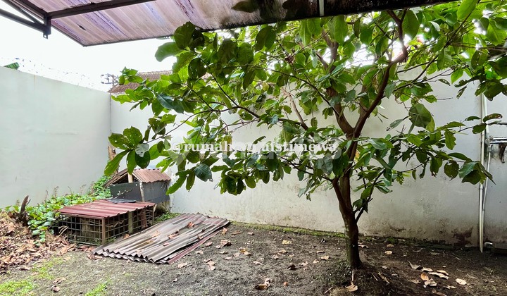 Rumah dengan Tanah Luas di Purwomartani Dekat Bandara Adi Sucipto 2