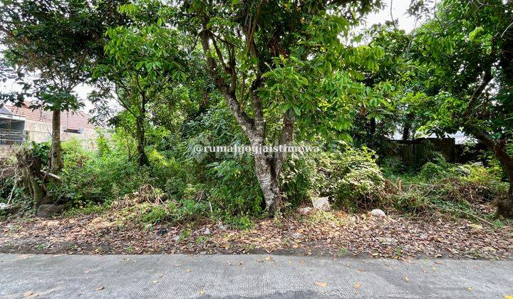 Tanah Utara Hartono Mall Condongcatur Dekat Upn Dan Ugm 1