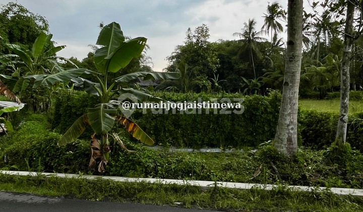Tanah Murah di JL Palagan Km 14 Harga Dibawah 1 Juta Per Meter Tanah Murah di JL Palagan Km 14 Harga Dibawah 1 Juta Per Meter