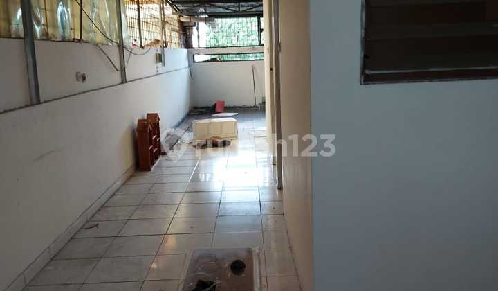 Disewa Ruko palem 15