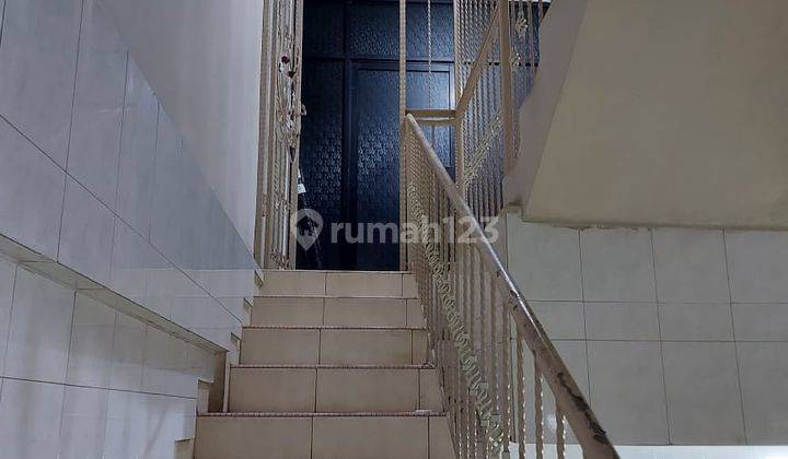 Disewa Ruko palem 29