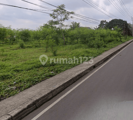 Tanah Bogor Tepi Jalan 1 Menit Ke Universitas Nusa Bangsa 5