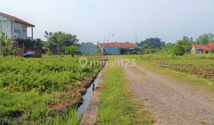 Cocok Bangun Kost hunian, Kavling SHM Dekat Ipb Dramaga 1