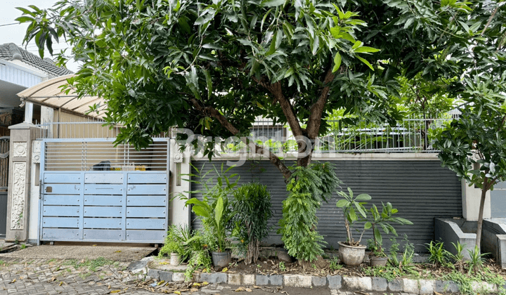 RUMAH HANYA 1 M AN DI JALAN BESAR PERMATA SAFIRA 1