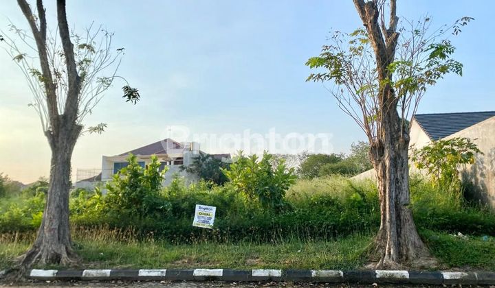 TANAH MURAH DI SURYA INTI PERMATA JUANDA HANYA 4,5 JUTA PERMETER 1