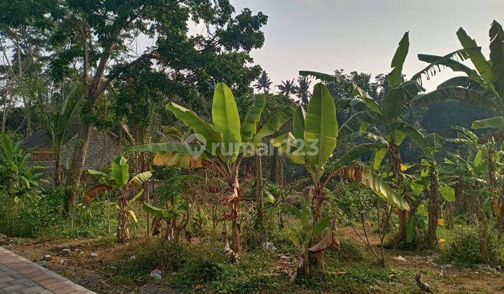 DIJUAL CEPAT TANAH ISTIMEWA DI PEGUYANGAN, DENPASAR UTARA 1