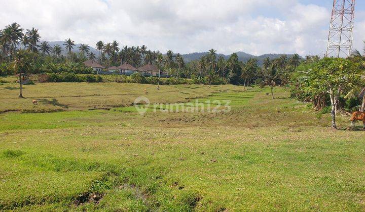 Premium Land For Sale Only 100 Meters To The Beach In Tabanan 1