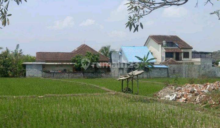 Dijual Tanah Cocok Untuk Perumahan Dan Usaha Kuliner di Karangploso, Malang 1