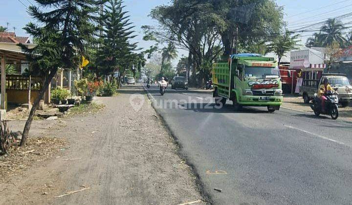 Tanah Murah 0 Jalan Poros Arah Bromo di Pakis Kota Malang 2