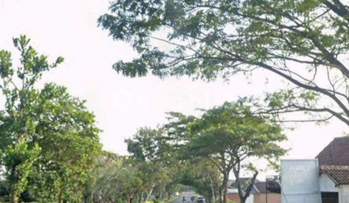 Dijual Cepat Tanah View Menarik di Jalibar Kepanjen - Pakisaji, Kab. Malang 1