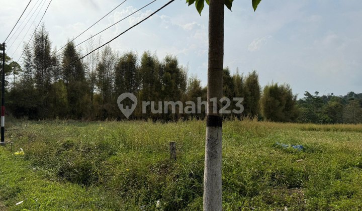 Dijual Tanah Lokasi Strategis Cocok untuk Kuliner di Gubuk Klakah, Tumpang Dijual Tanah Lokasi Strategis Cocok untuk Kuliner di Gubuk Klakah, Tumpang