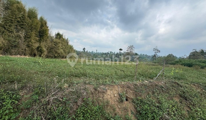 Dijual Tanah Lokasi Strategis Cocok untuk Kuliner di Gubuk Klakah, Tumpang