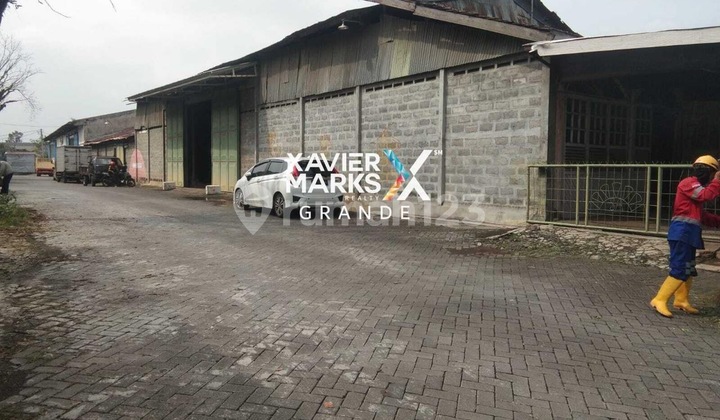 Warehouse for Rent on Tenaga Street, Blimbing Area, Malang Warehouse for Rent on Tenaga Street, Blimbing Area, Malang