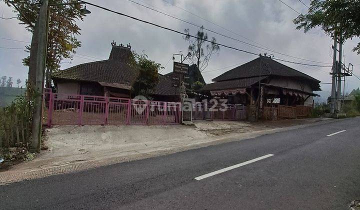 Update Harga Dijual Tanah Kebun Cocok Buat Komersial Di Gubuk Klakah Arah G. Bromo, Malang 2