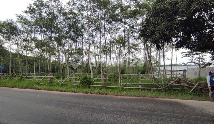 Update Luas & Harga, Dijual Tanah Di Daerah Bandulan, Pandanlandung - Wagir, Malang Cocok Gudang/ Pabrik/ Perum Update Luas & Harga, Dijual Tanah Di Daerah Bandulan, Pandanlandung - Wagir, Malang Cocok Gudang/ Pabrik/ Perum